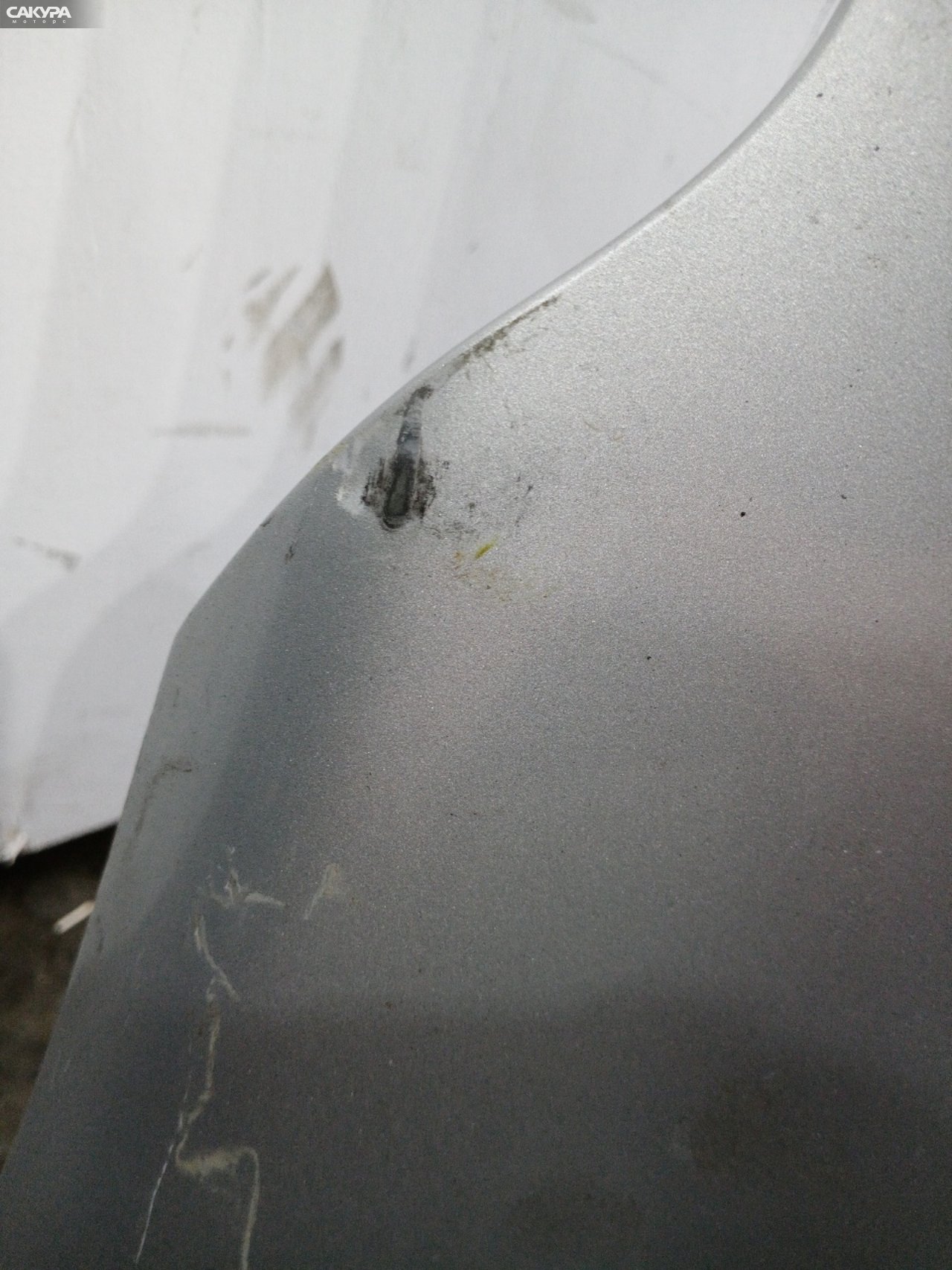 Крыло переднее правое Mitsubishi Dion CR9W 4G63: купить в Сакура Красноярск.