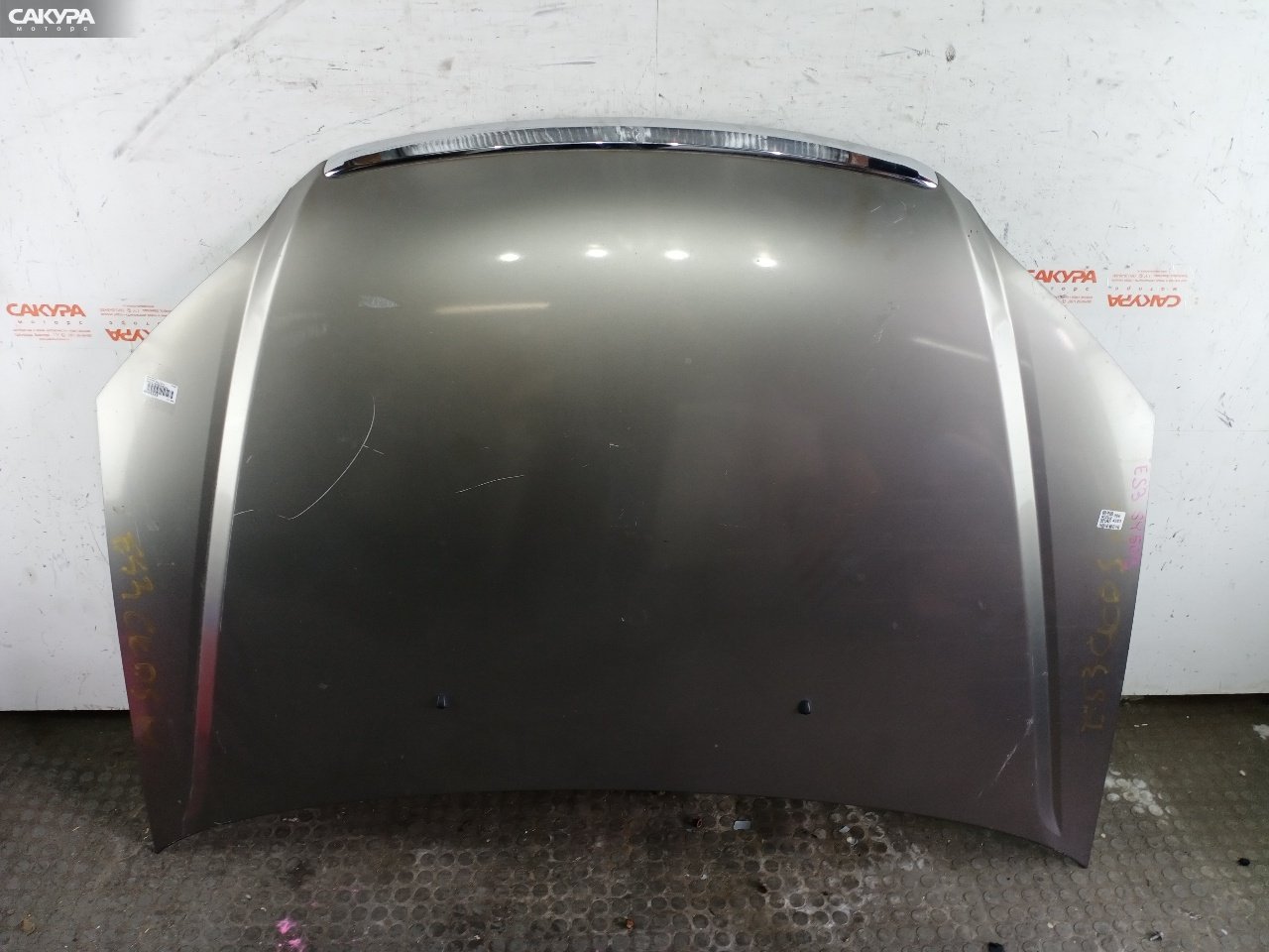 Капот Honda Civic Ferio ES3 D17A: купить в Сакура Красноярск.