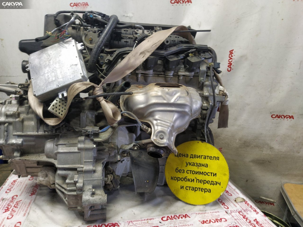 Двигатель Honda FIT GD1 L13A: купить в Сакура Красноярск.