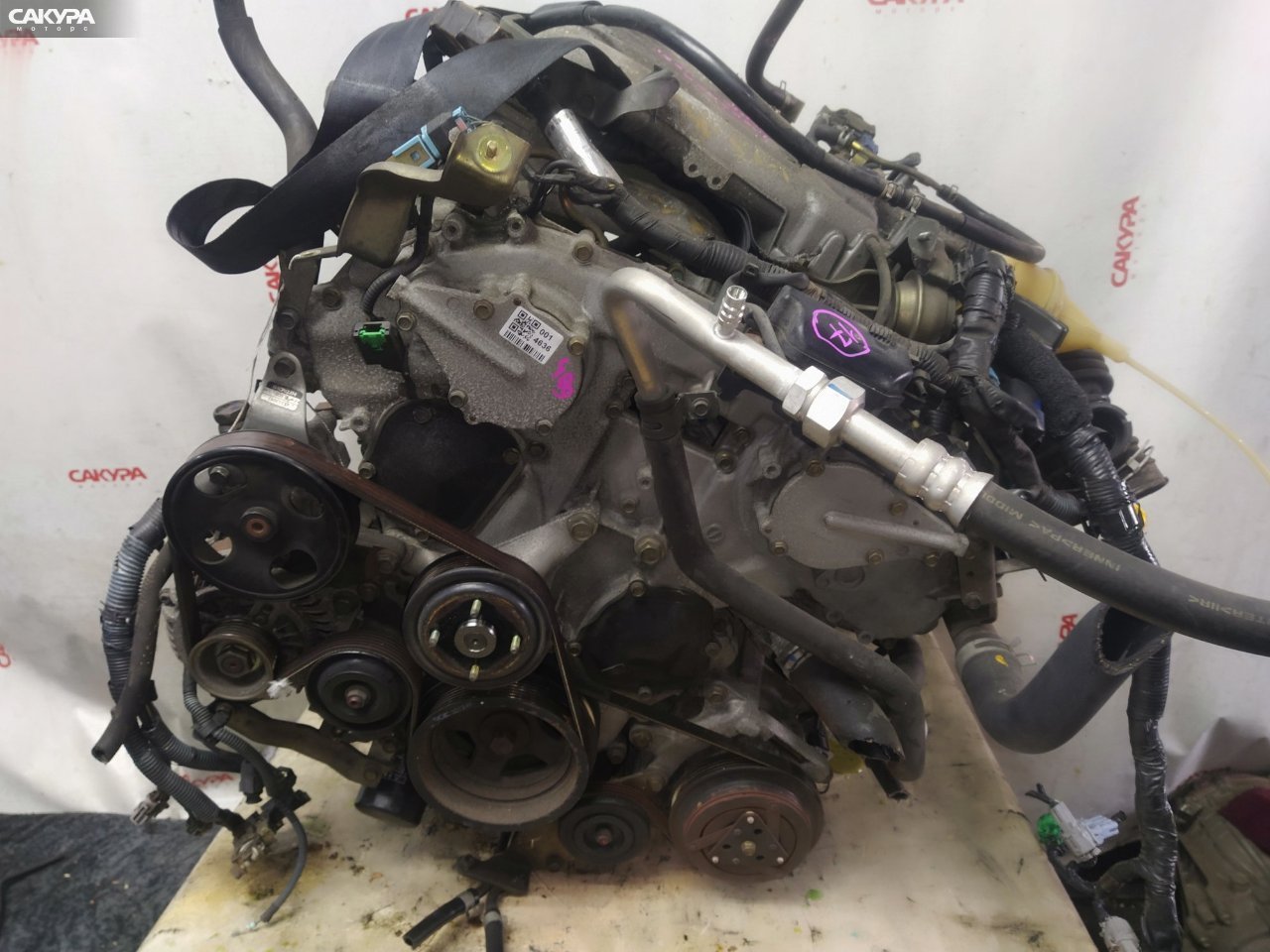 Двигатель Nissan Elgrand NE51 VQ35DE: купить в Сакура Красноярск.