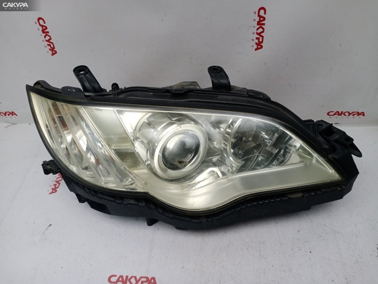 Фара правая Subaru Legacy BL5 EJ204 100-20952: купить в Сакура Красноярск.