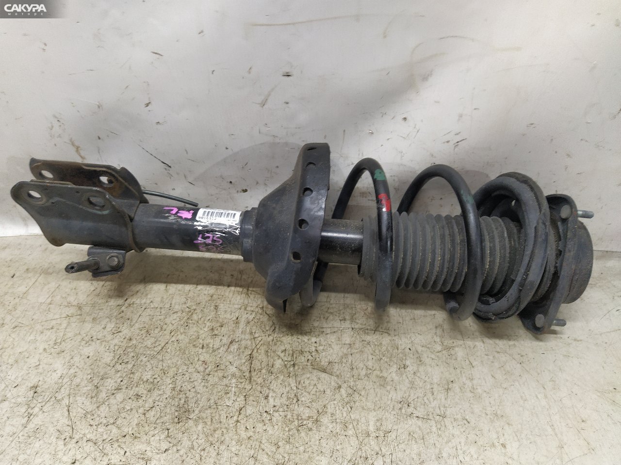 Стойка подвески передняя левая Subaru Forester SG5 EJ205: купить в Сакура Красноярск.