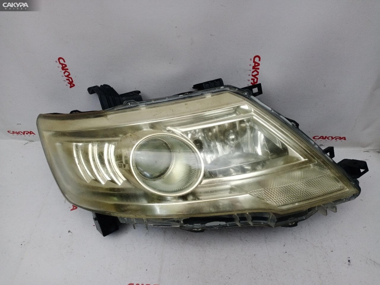 Фара правая Nissan Serena CC25 MR20DE 100-24921: купить в Сакура Красноярск.