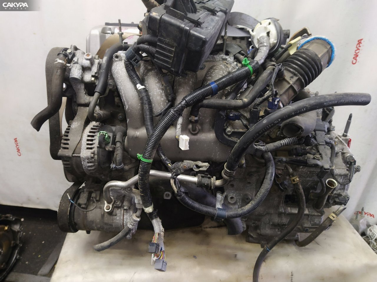 Двигатель Honda Odyssey RB1 K24A: купить в Сакура Красноярск.
