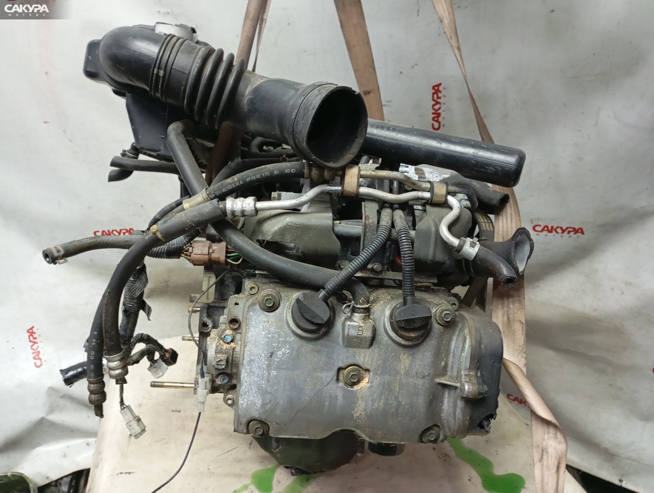 Двигатель Subaru Forester SG5 EJ202: купить в Сакура Красноярск.