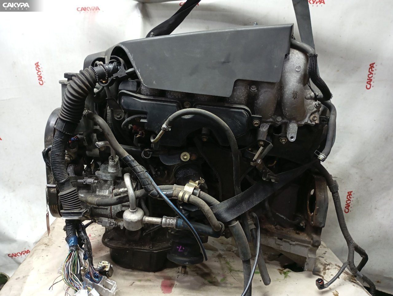 Двигатель Toyota Brevis JCG11 2JZ-FSE: купить в Сакура Красноярск.