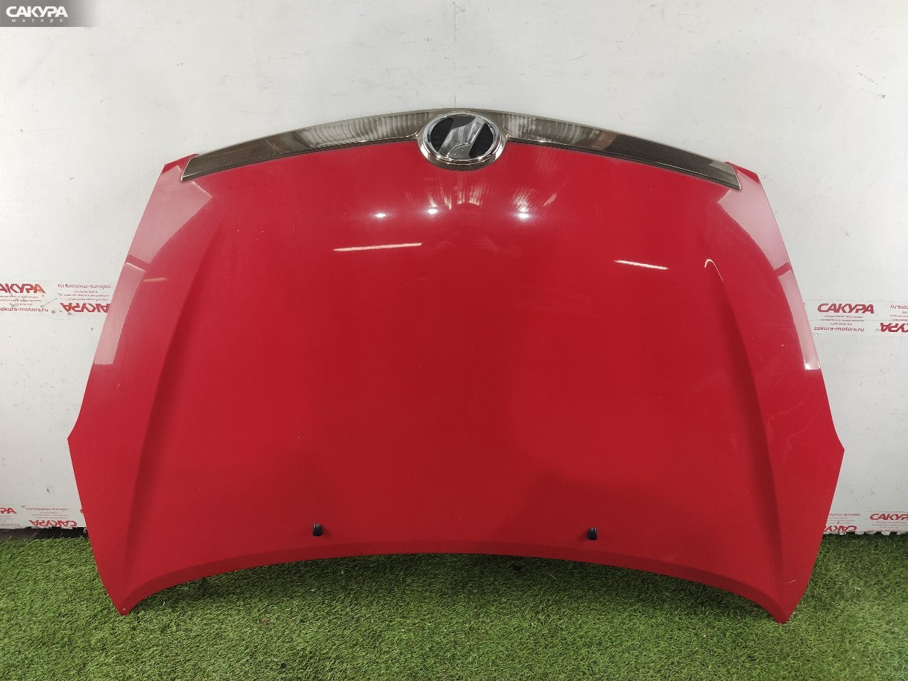 Капот Toyota Wish ANE11W 1AZ-FSE: купить в Сакура Красноярск.