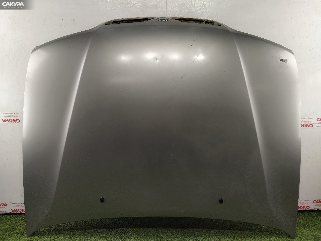 Капот Nissan Primera QP11 QG18DE: купить в Сакура Красноярск.