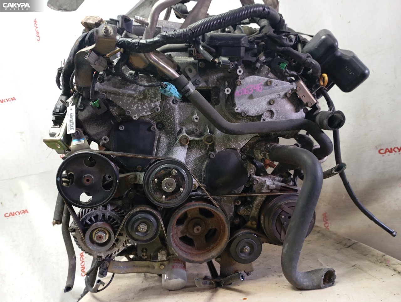 Двигатель Nissan Elgrand E51 VQ35DE: купить в Сакура Красноярск.