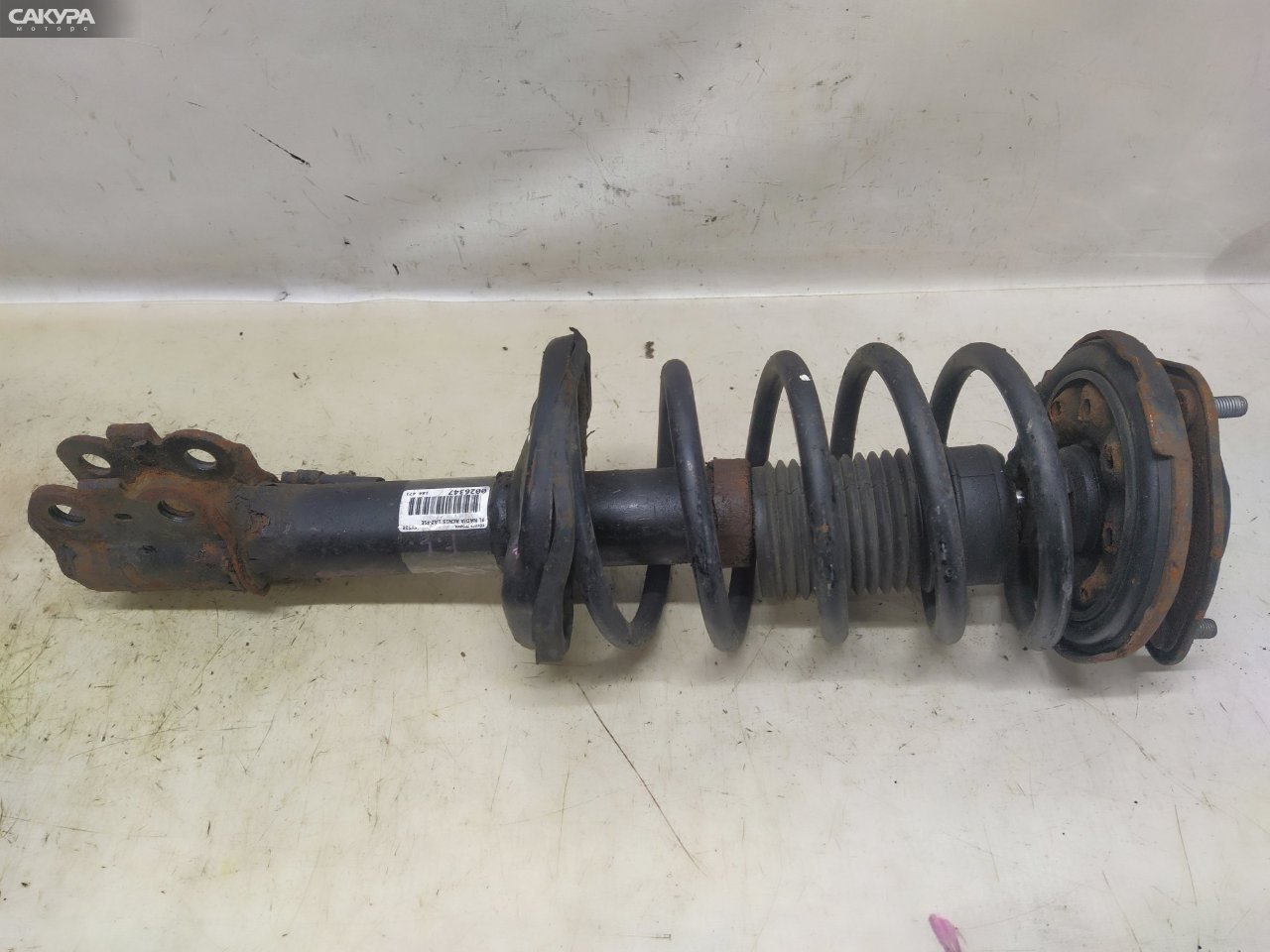 Стойка подвески передняя левая Toyota Nadia ACN15 1AZ-FSE: купить в Сакура Красноярск.