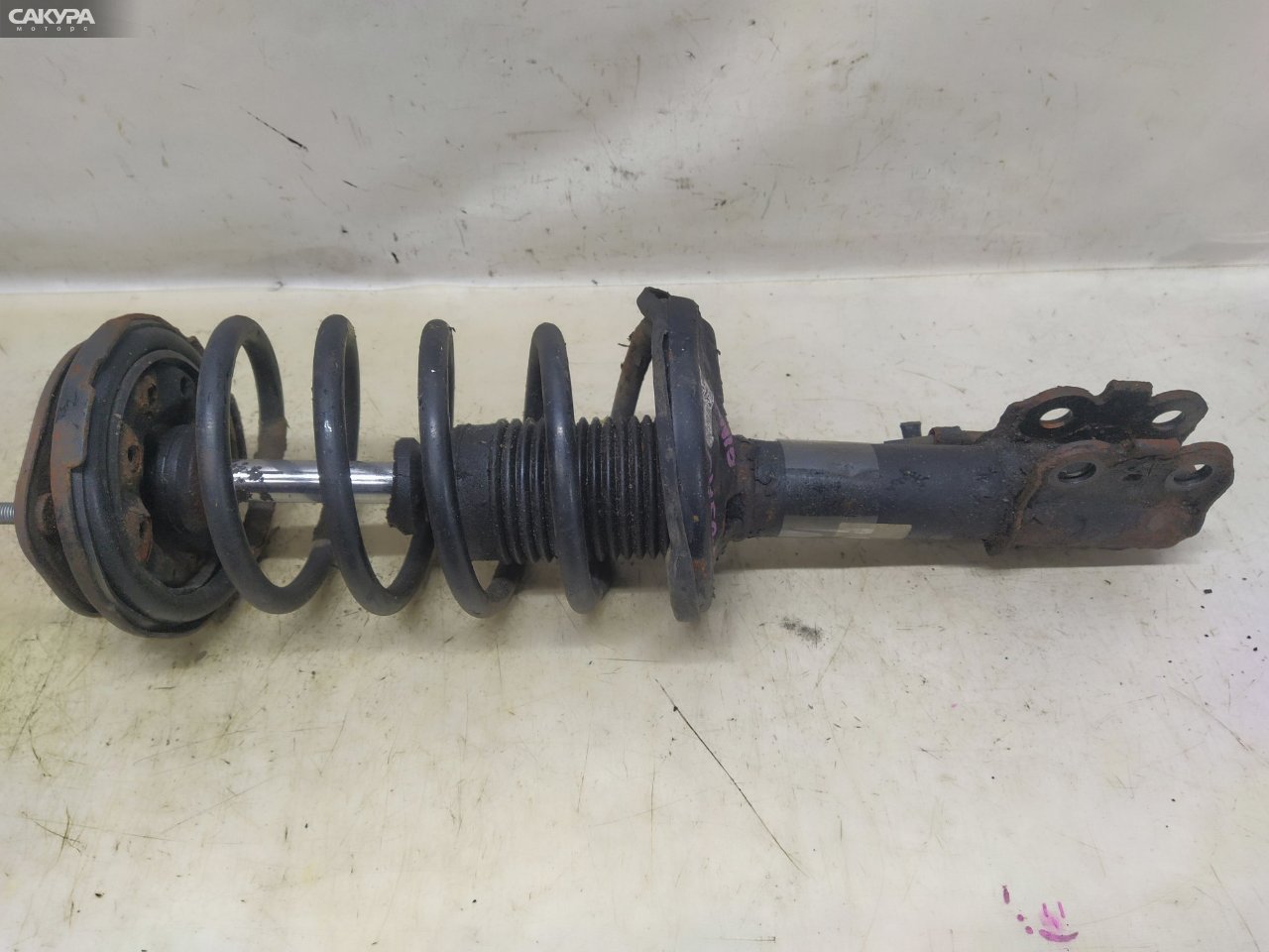 Стойка подвески передняя правая Toyota Nadia ACN15 1AZ-FSE: купить в Сакура Красноярск.