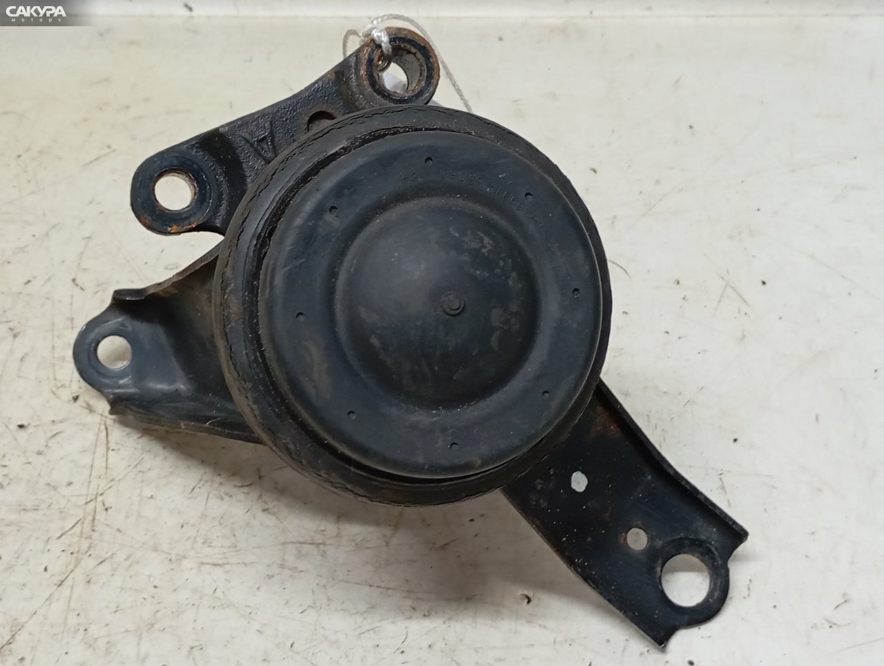 Подушка двигателя правая Toyota Nadia ACN15 1AZ-FSE: купить в Сакура Красноярск.