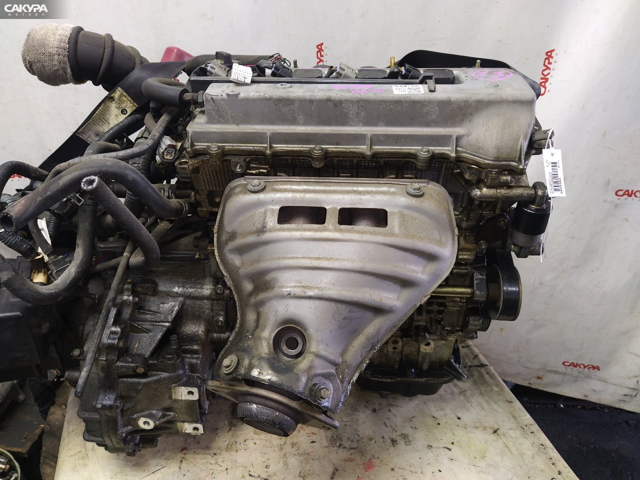 Двигатель Toyota Wish ZNE10G 1ZZ-FE: купить в Сакура Красноярск.