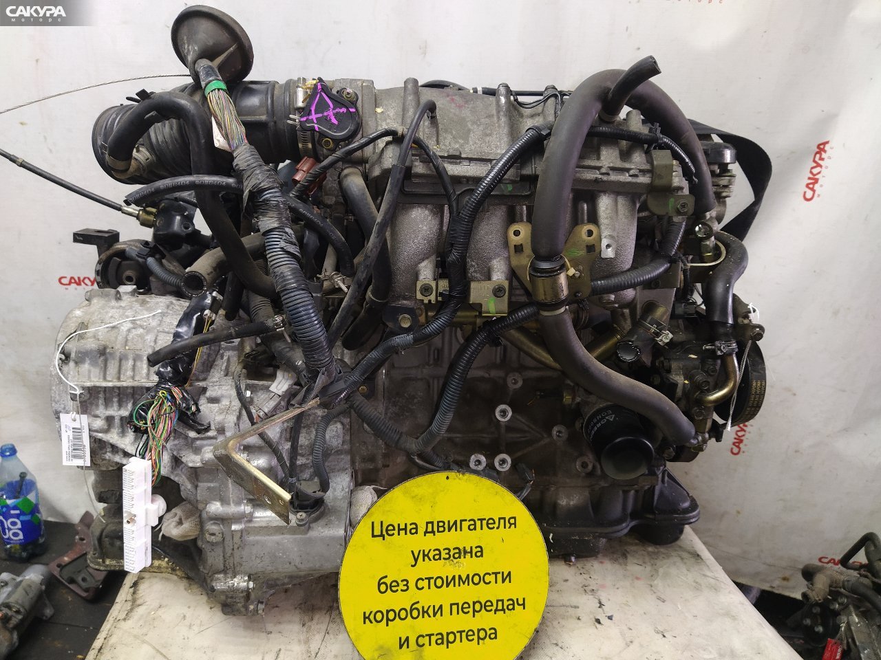 Двигатель Nissan Primera HP11 SR20DE: купить в Сакура Красноярск.