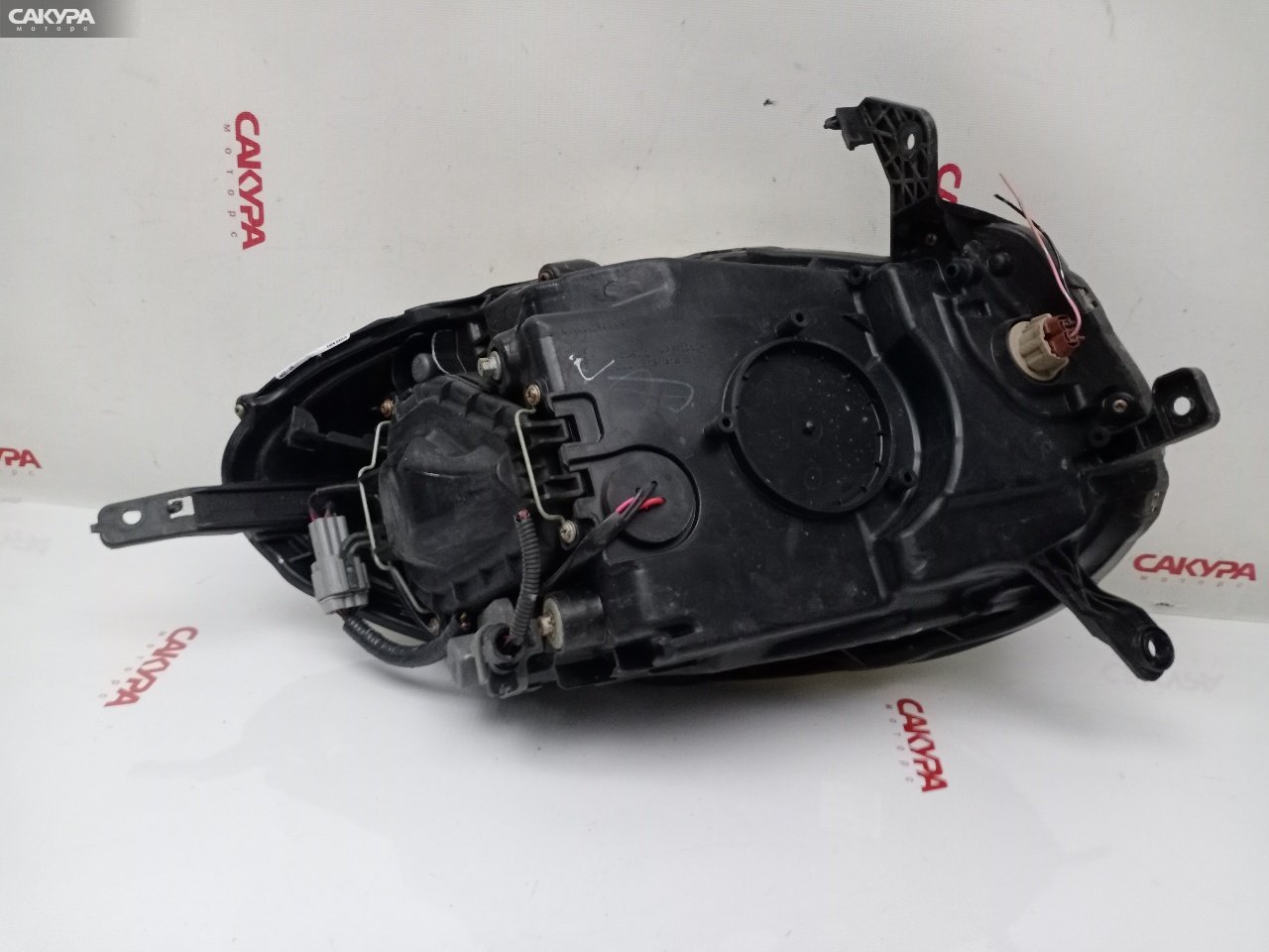 Фара правая Nissan March AK12 CR12DE 1816: купить в Сакура Красноярск.