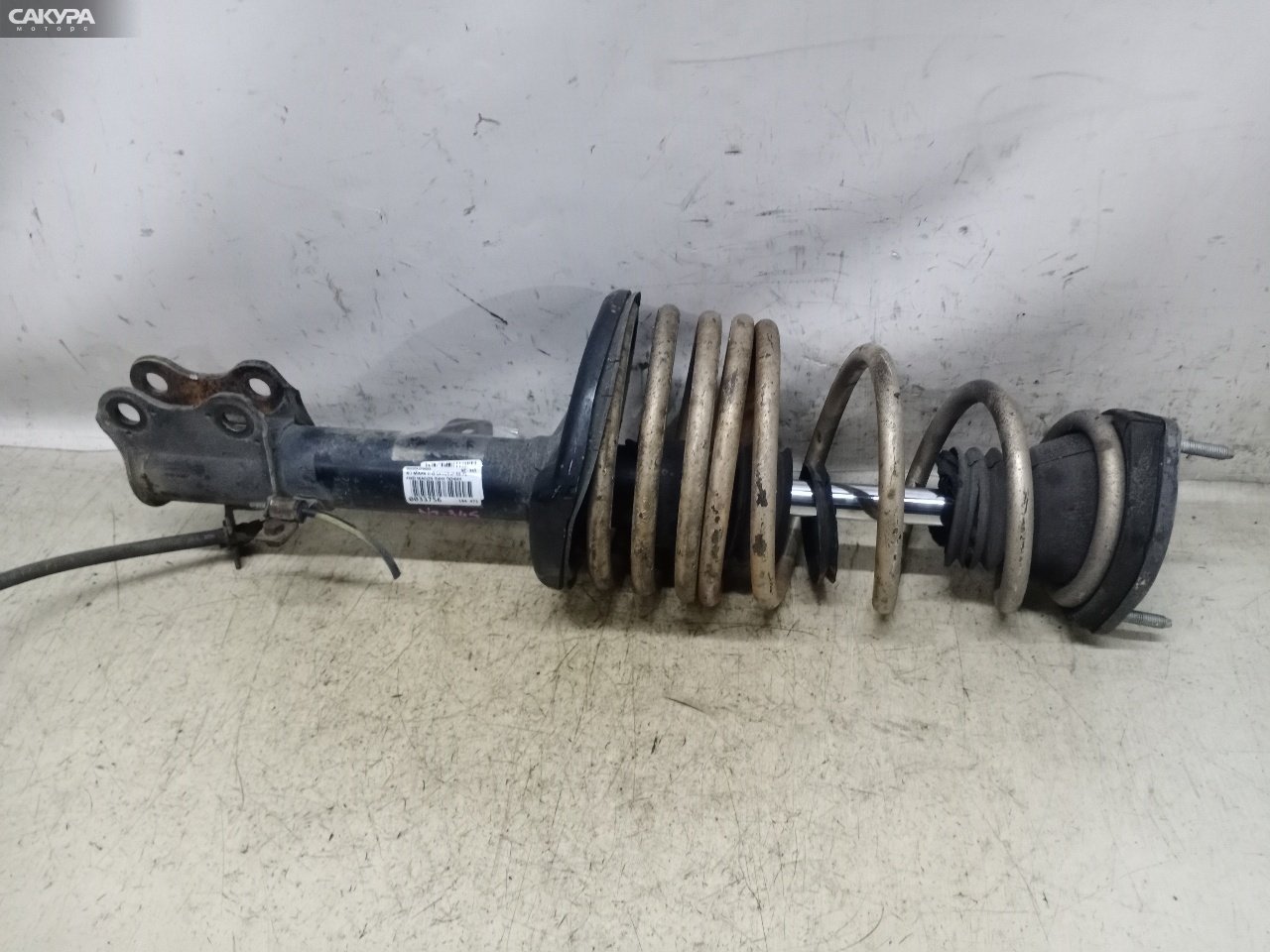 Стойка подвески задняя правая Toyota Mark II Qualis SXV25W 5S-FE: купить в Сакура Красноярск.