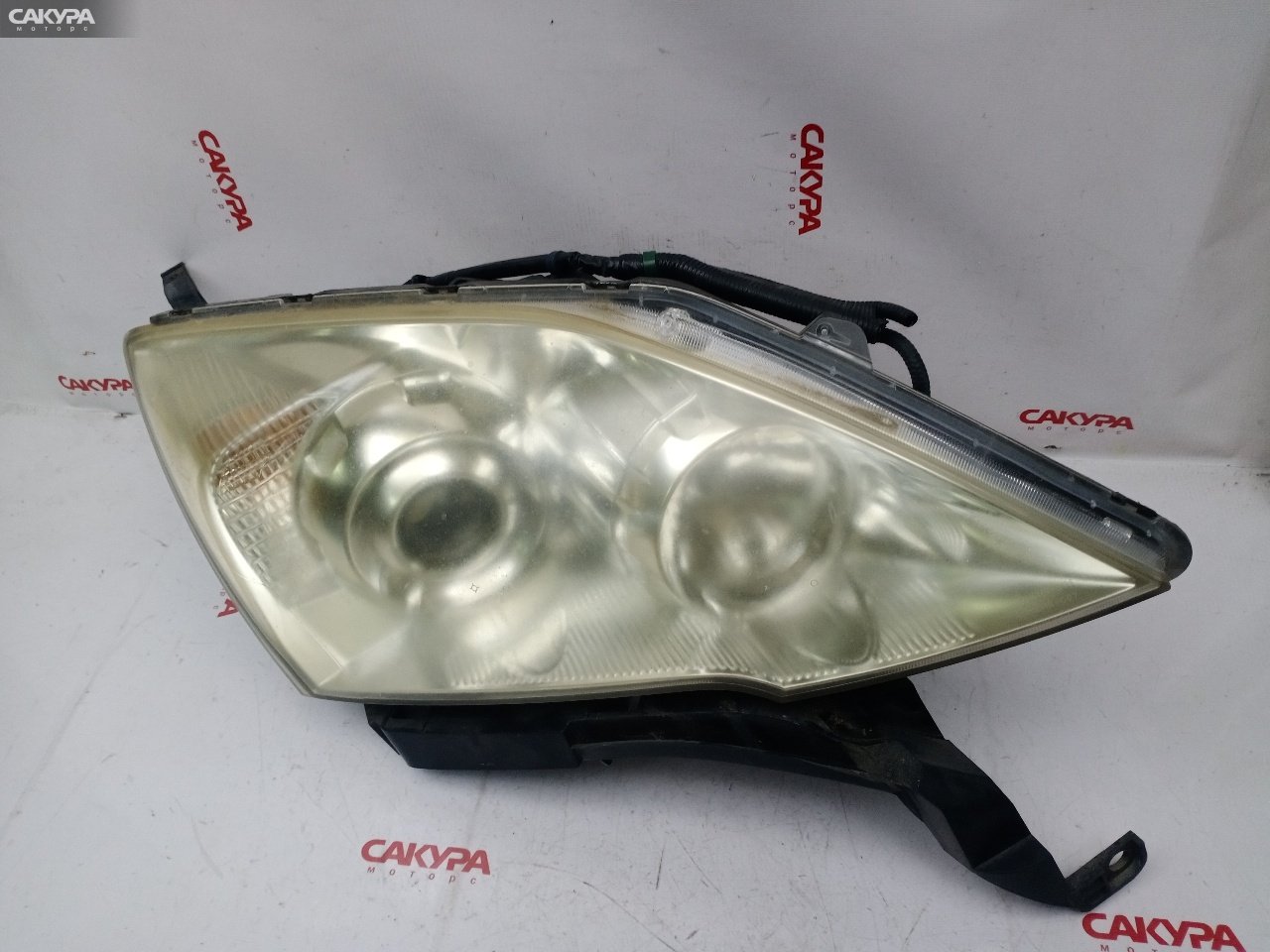 Фара правая Honda CR-V RE4 K24A P6360: купить в Сакура Красноярск.