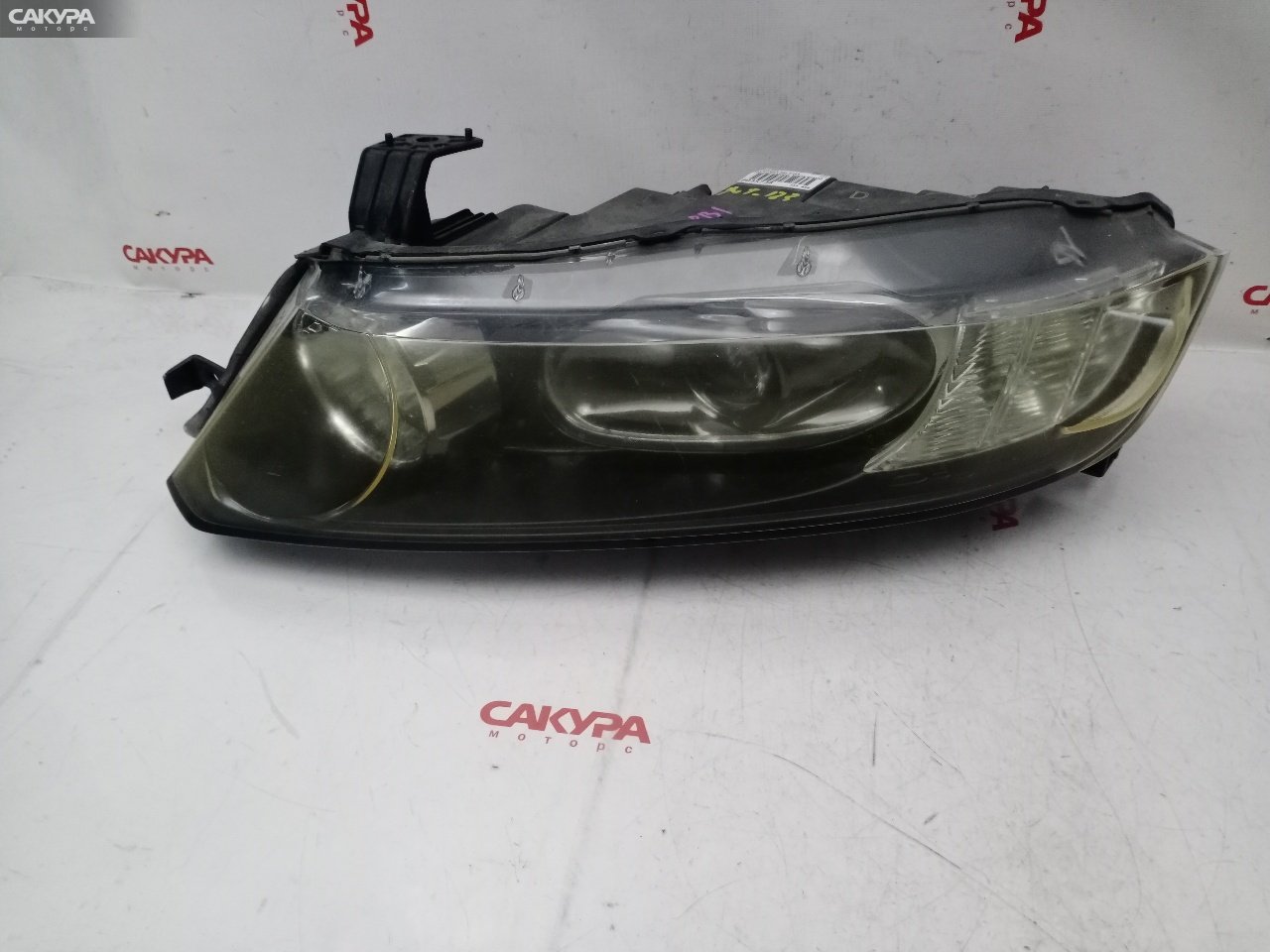 Фара левая Honda Odyssey RB1 K24A 100-22497: купить в Сакура Красноярск.