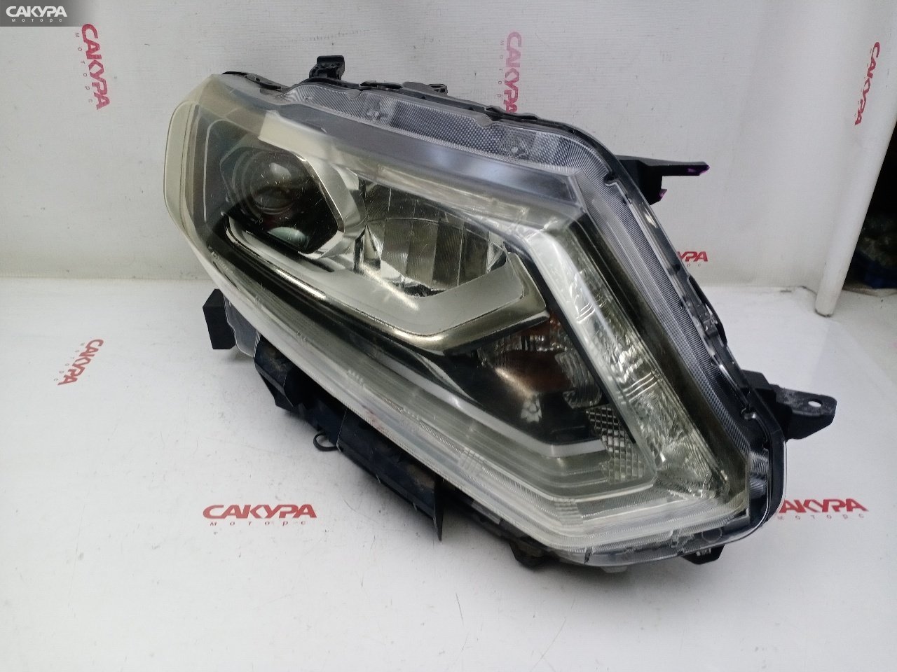 Фара правая Nissan X-TRAIL NT32 MR20DD 100-17942: купить в Сакура Красноярск.