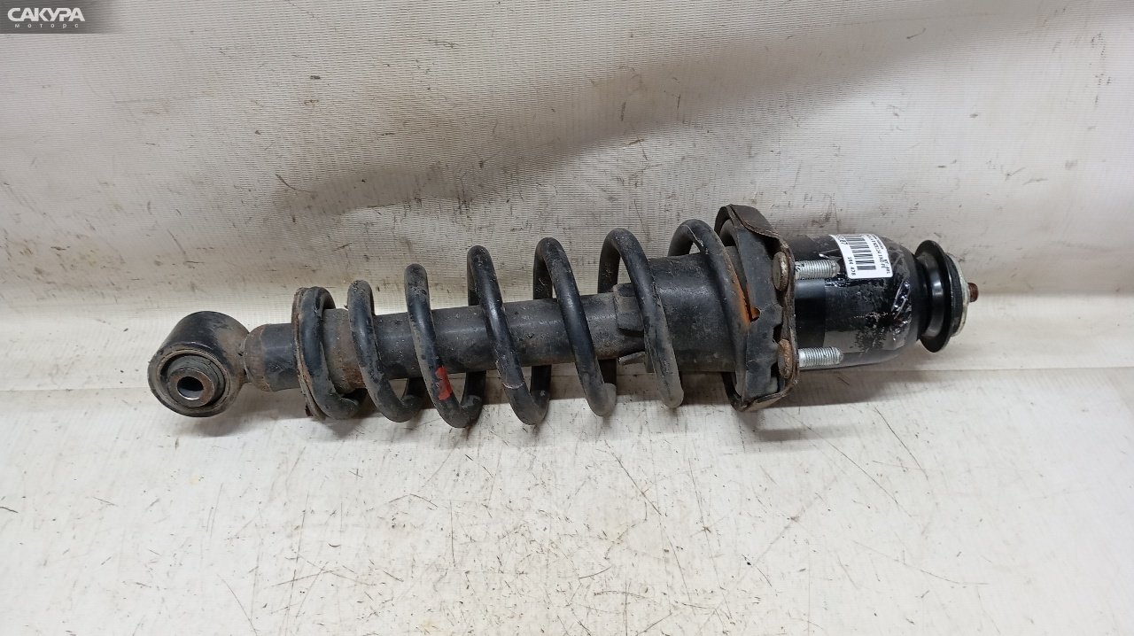 Стойка подвески задняя левая Toyota Corolla Runx NZE124 1NZ-FE: купить в Сакура Красноярск.