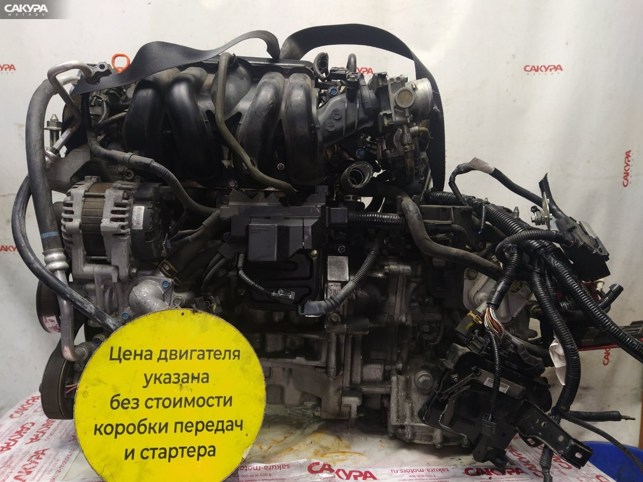 Двигатель Honda FIT GK3 L13B: купить в Сакура Красноярск.