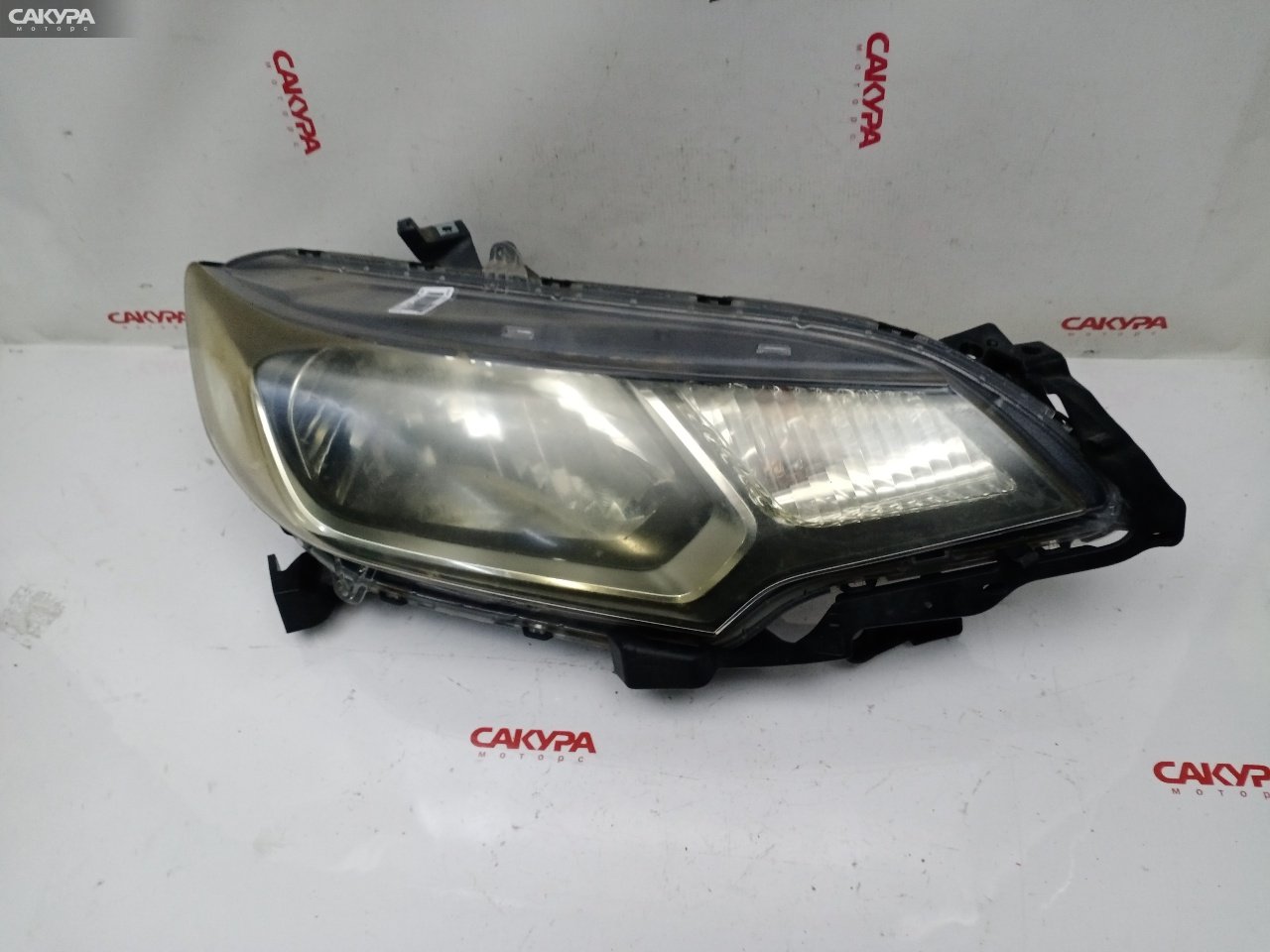Фара правая Honda FIT GK3 L13B W0349: купить в Сакура Красноярск.