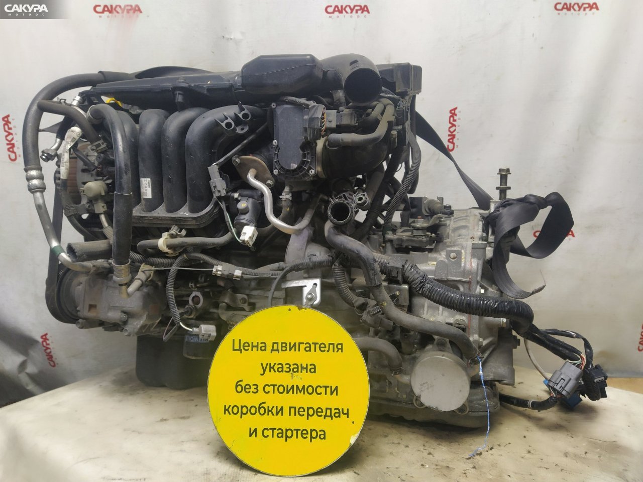 Двигатель Mazda Axela BL5FW ZY-VE: купить в Сакура Красноярск.