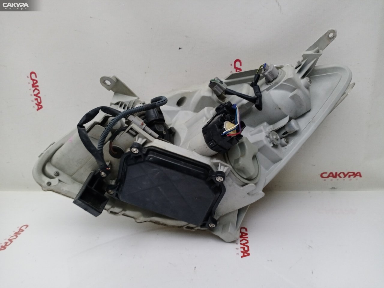 Фара правая Toyota Corolla Spacio ZZE122N 1ZZ-FE 13-73: купить в Сакура Красноярск.