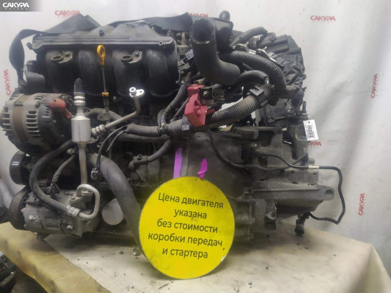 Двигатель Nissan X-TRAIL NT31 MR20DE: купить в Сакура Красноярск.