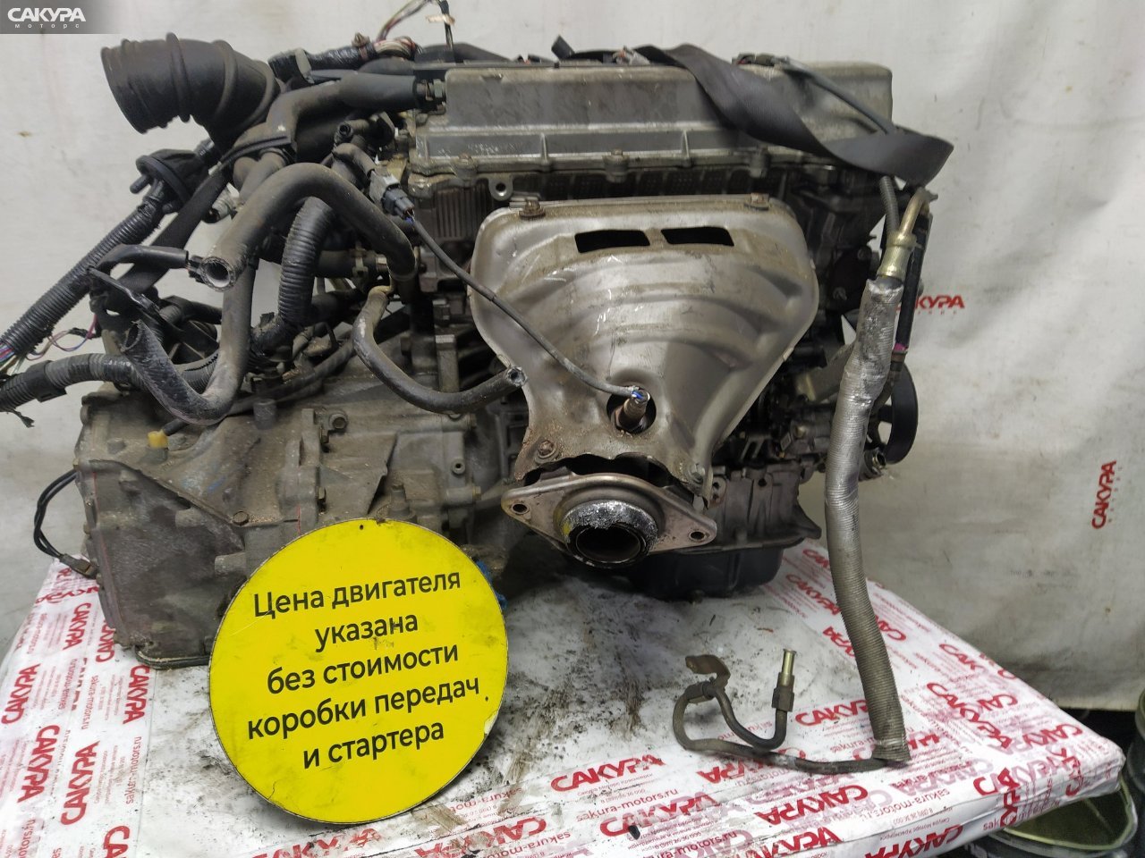 Двигатель Toyota Premio ZZT240 1ZZ-FE: купить в Сакура Красноярск.