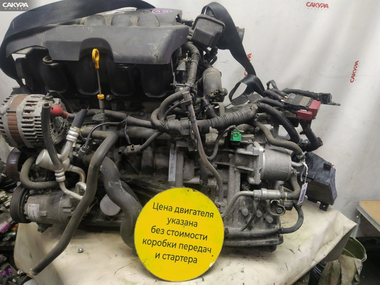 Двигатель Nissan Dualis NJ10 MR20DE: купить в Сакура Красноярск.