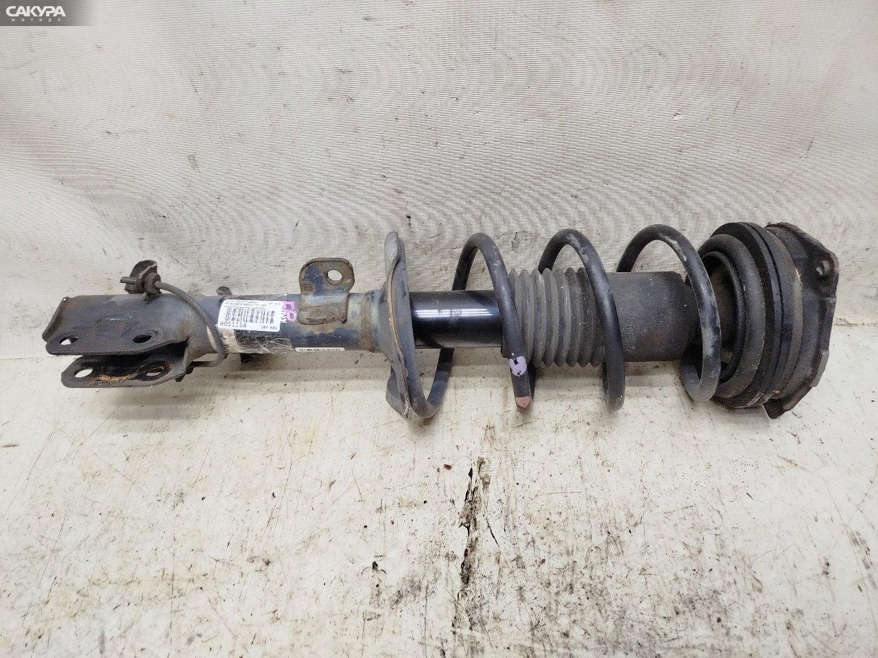 Стойка подвески передняя правая Nissan March AK12 CR12DE: купить в Сакура Красноярск.