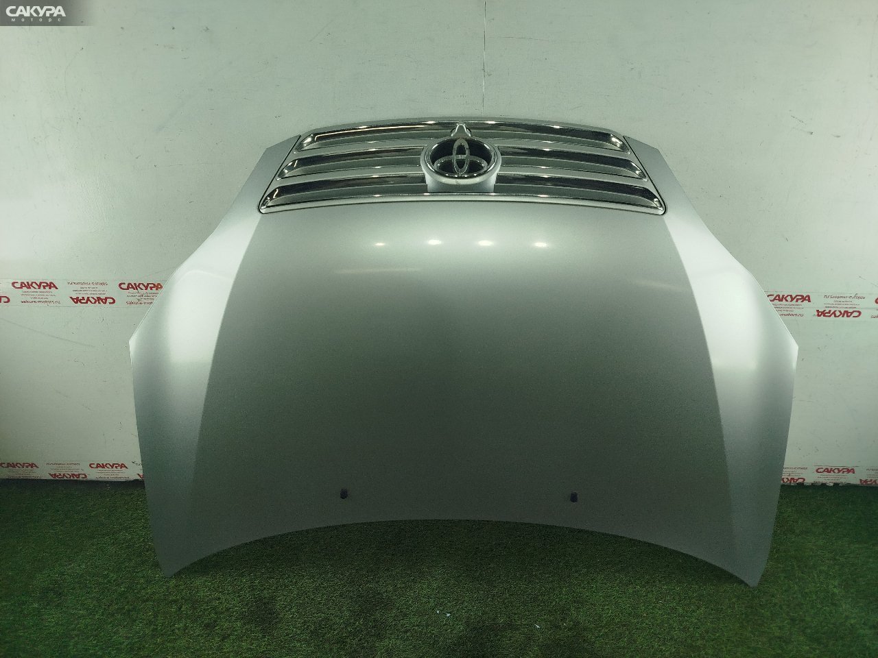 Капот Toyota Ipsum ACM21W 2AZ-FE: купить в Сакура Красноярск.