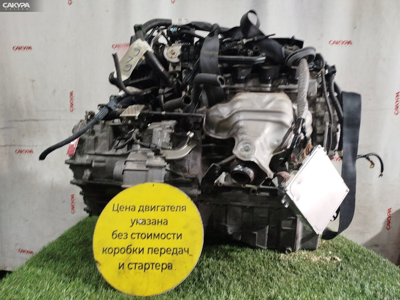 Двигатель Honda FIT GD1 L13A: купить в Сакура Красноярск.