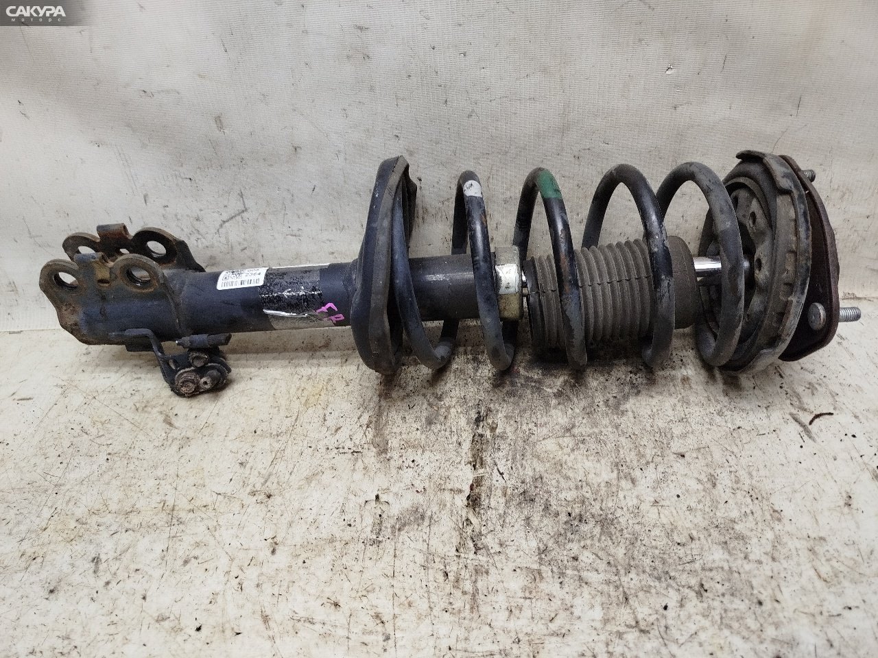Стойка подвески передняя правая Toyota Gaia SXM15G 3S-FE: купить в Сакура Красноярск.
