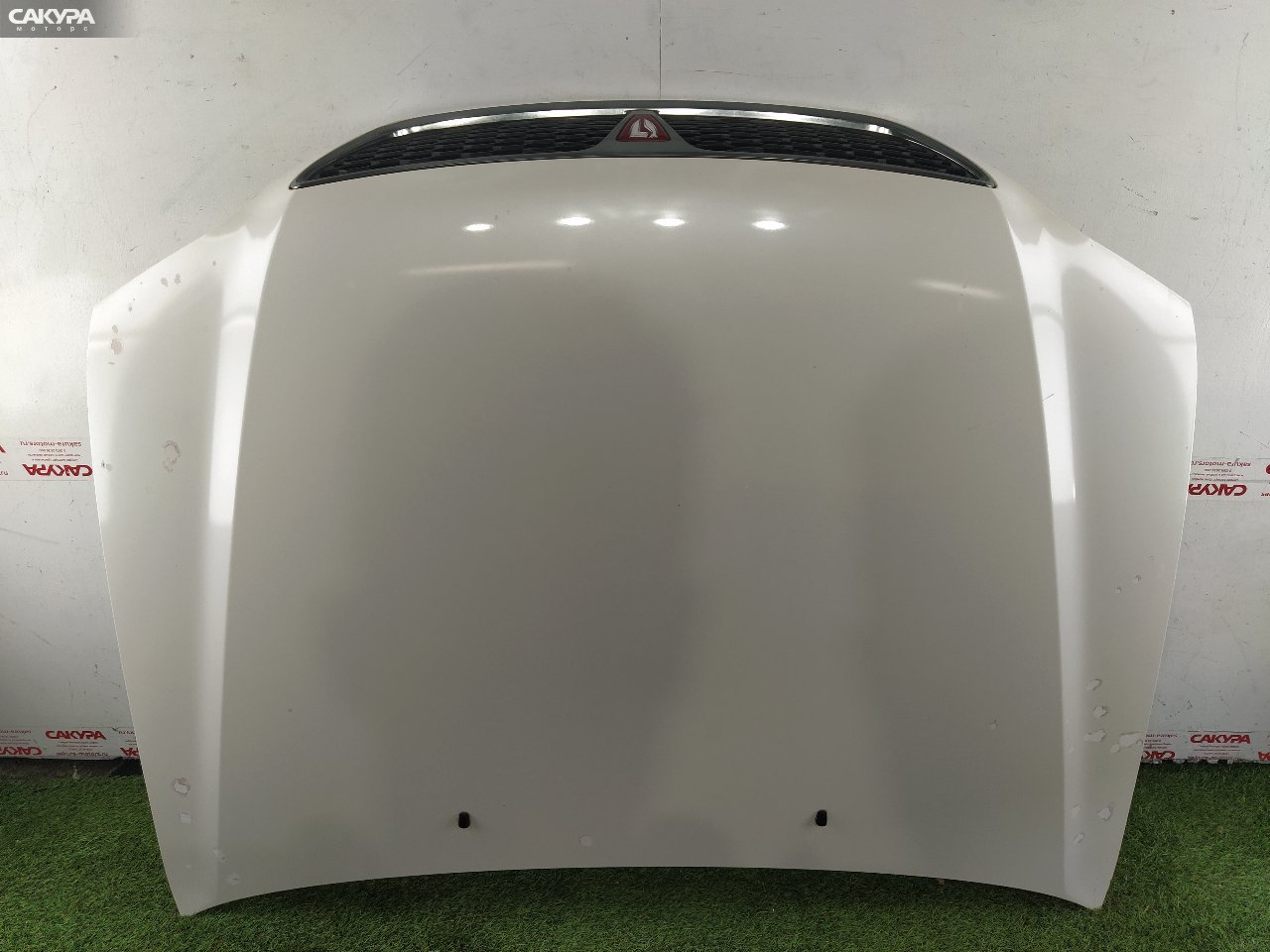 Капот Toyota Vista Ardeo ZZV50G 1ZZ-FE: купить в Сакура Красноярск.