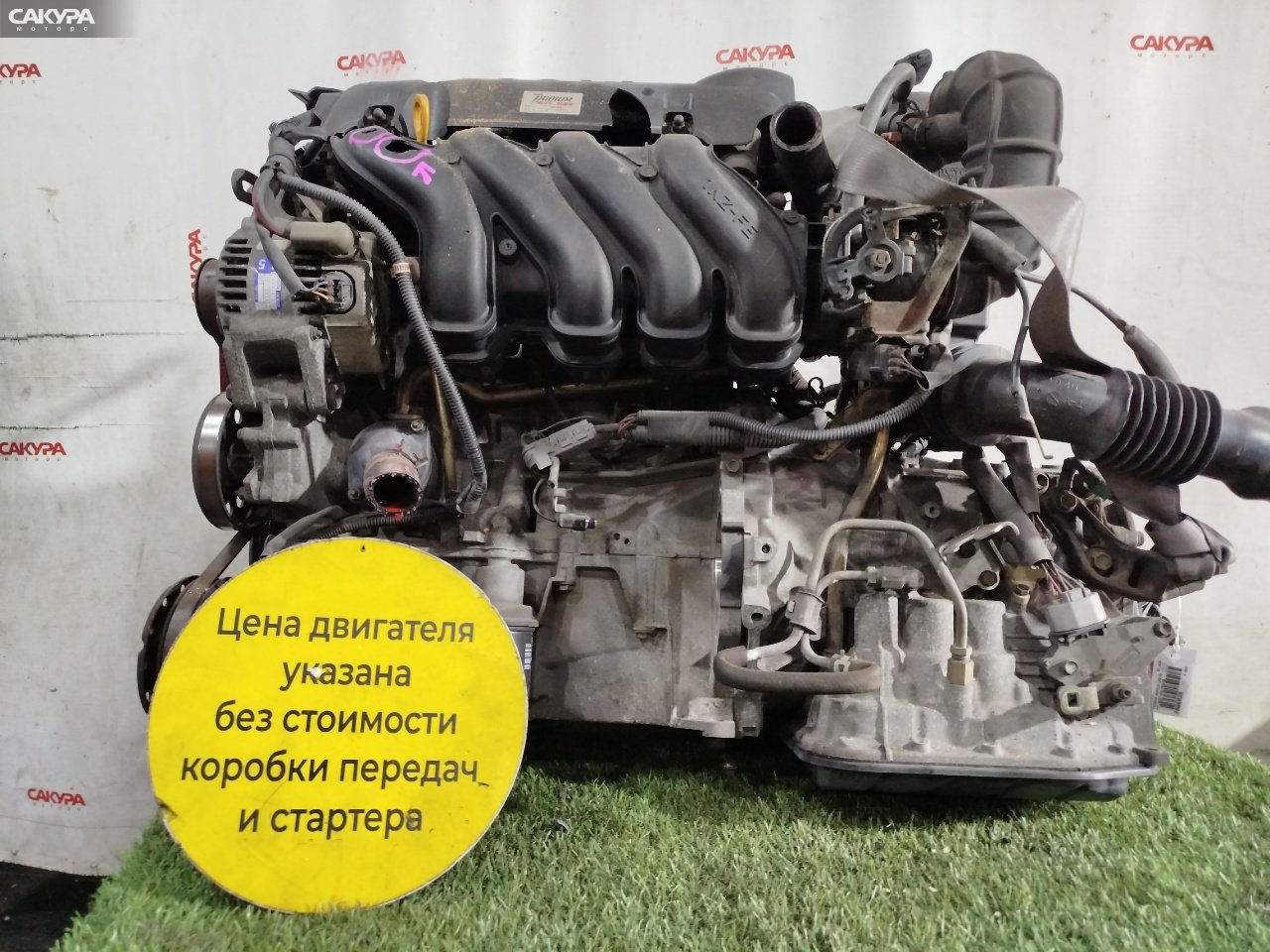 Двигатель Toyota Probox NCP51V 1NZ-FE: купить в Сакура Красноярск.