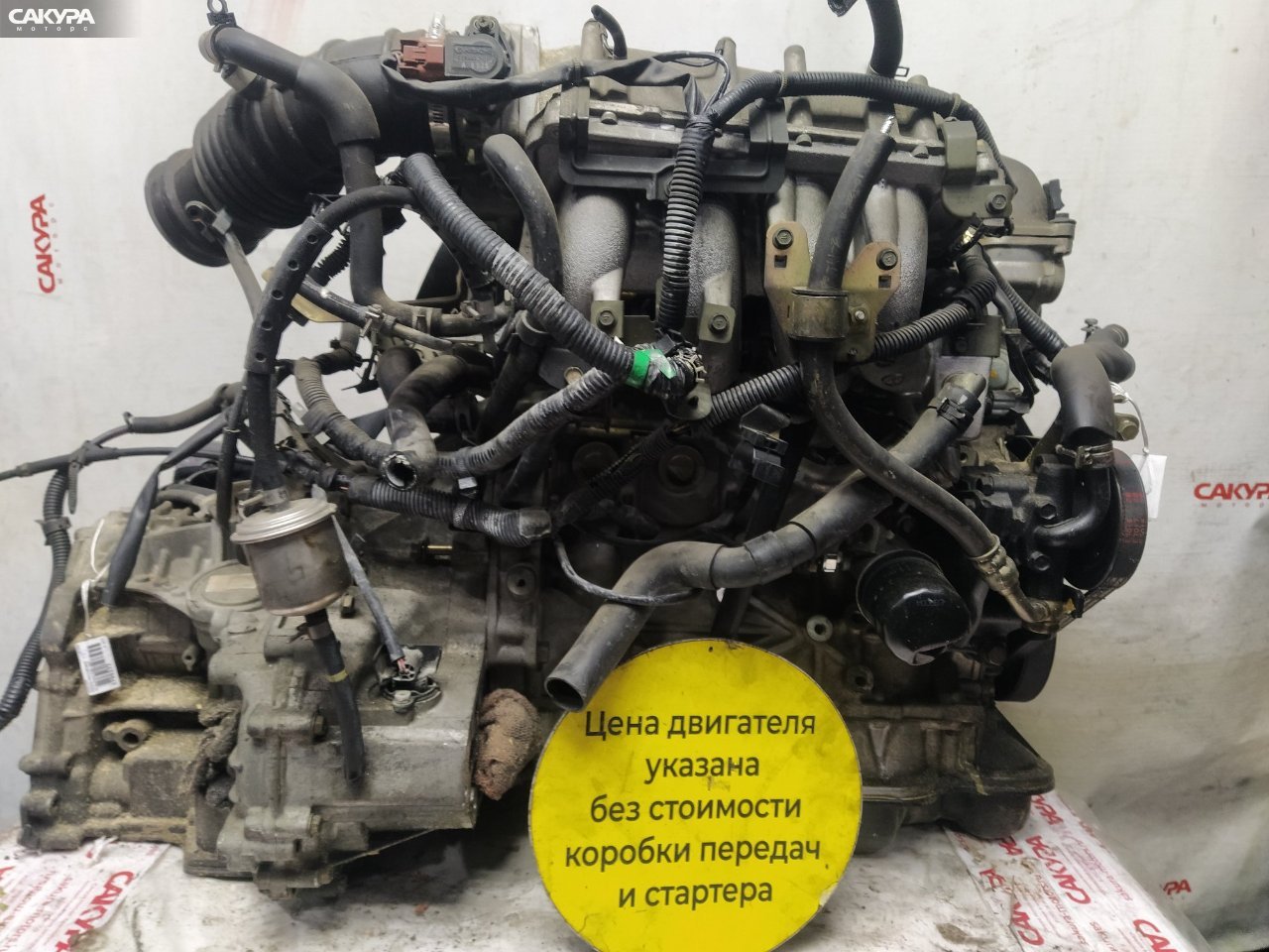 Двигатель Nissan Presea PR11 SR18DE: купить в Сакура Красноярск.
