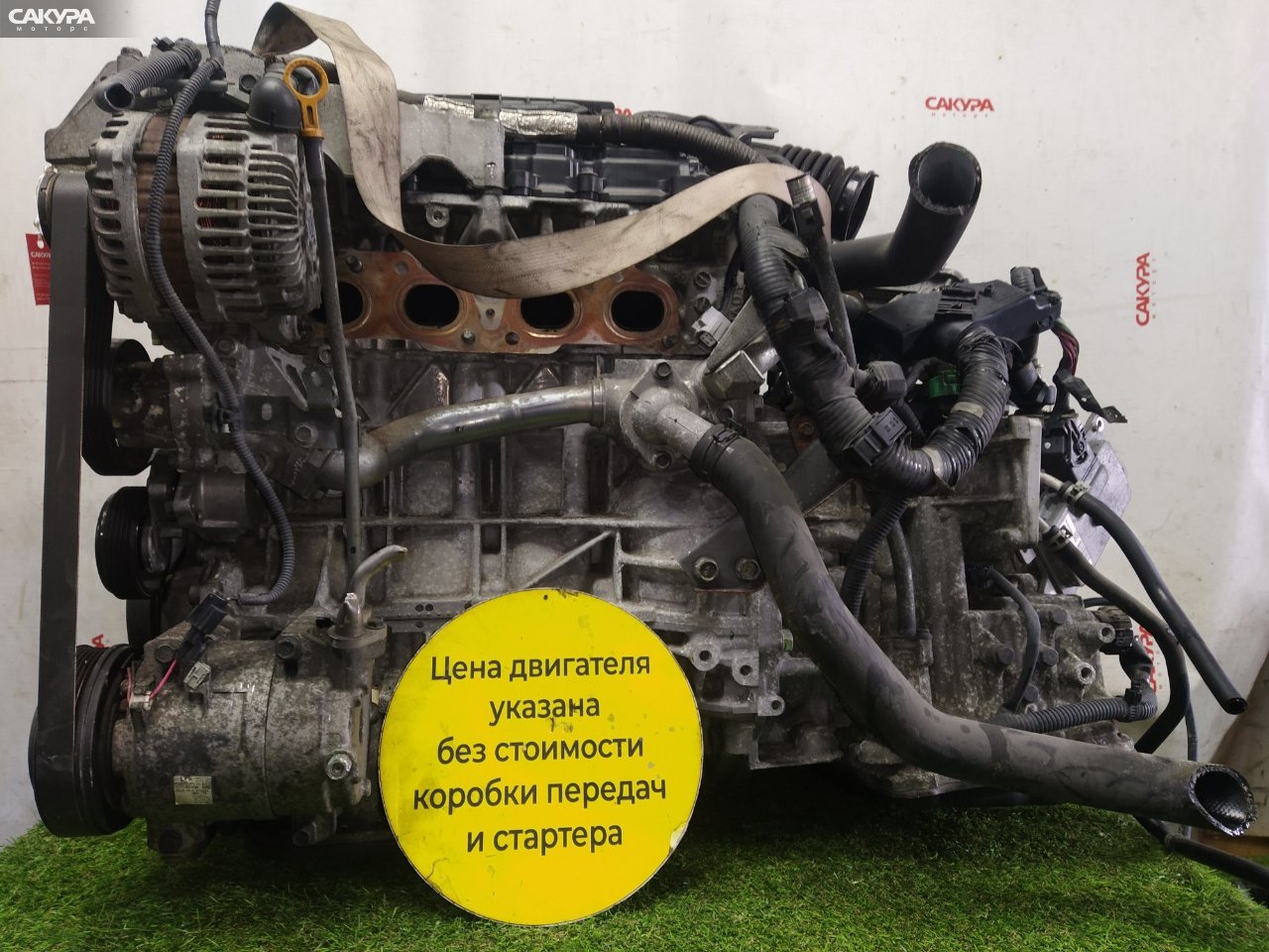 Двигатель Nissan Murano TNZ51 QR25DE: купить в Сакура Красноярск.