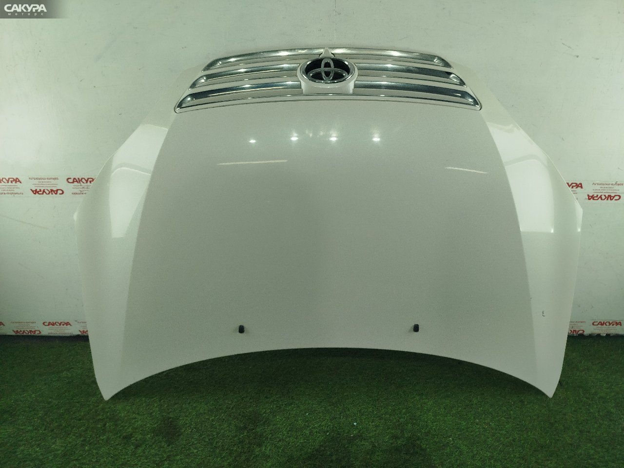 Капот Toyota Ipsum ACM21W 2AZ-FE: купить в Сакура Красноярск.