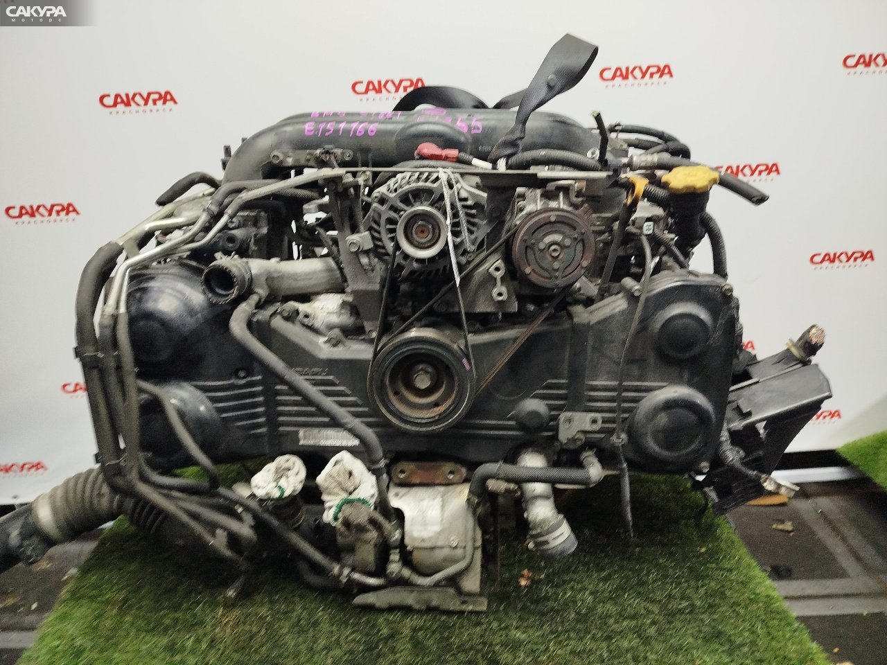 Двигатель Subaru Legacy BM9 EJ255: купить в Сакура Красноярск.