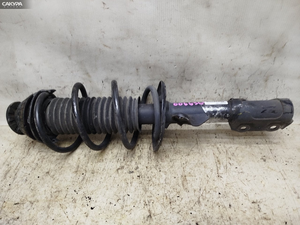 Стойка подвески передняя правая Honda FIT GD1 L13A: купить в Сакура Красноярск.