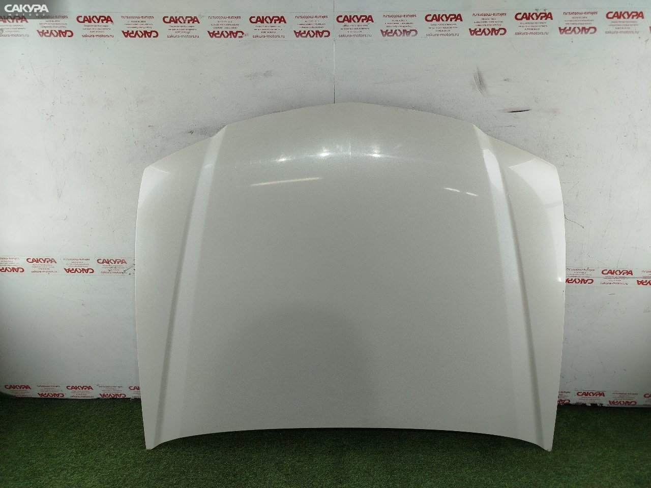 Капот Honda Accord CL7 K20A: купить в Сакура Красноярск.