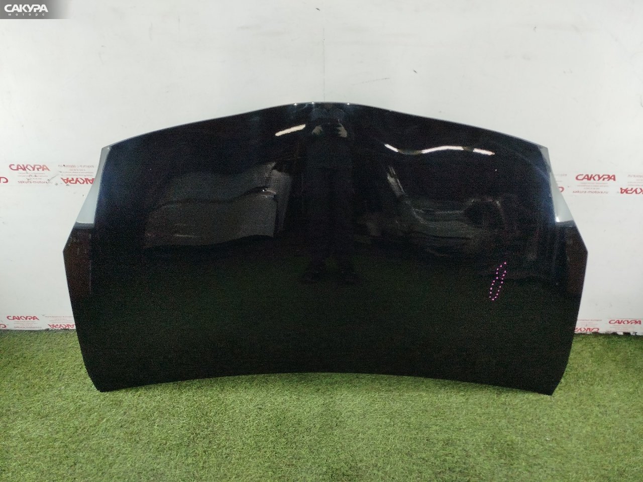 Капот Toyota Prius ZVW30 2ZR-FXE: купить в Сакура Красноярск.