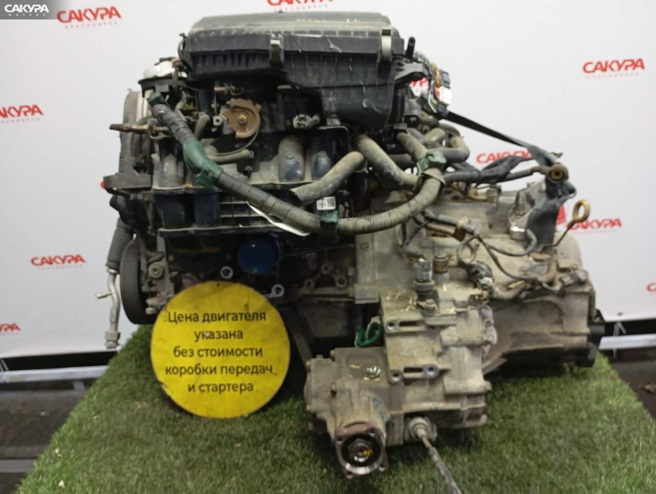 Двигатель Honda Civic EU2 D15B: купить в Сакура Красноярск.