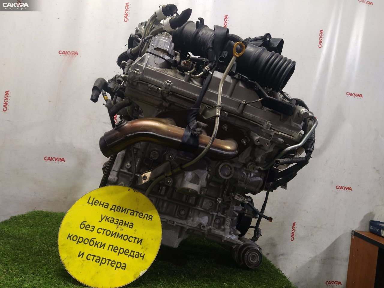 Двигатель Lexus IS250 GSE20 4GR-FSE: купить в Сакура Красноярск.