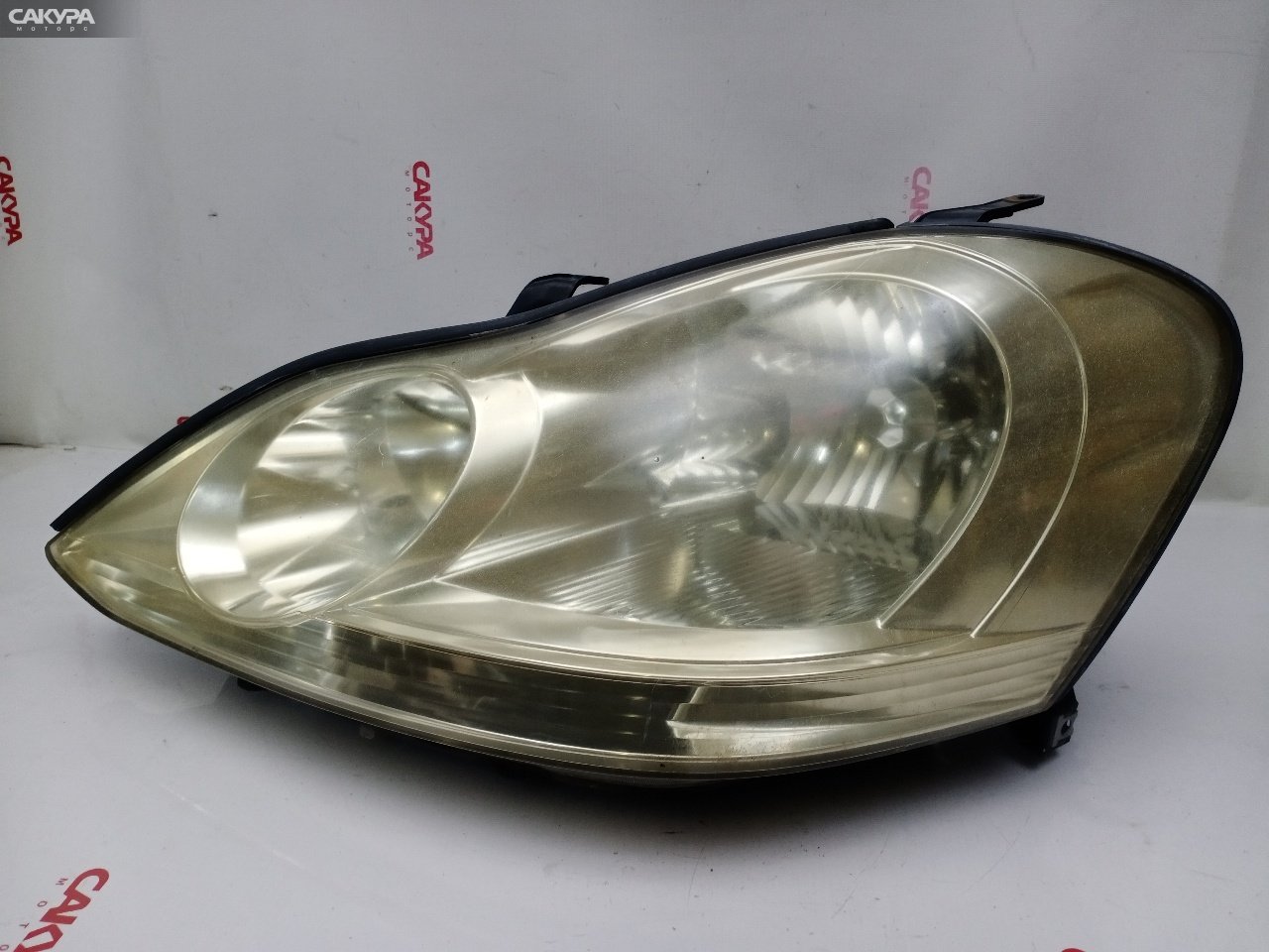 Фара левая Toyota Ipsum ACM21W 2AZ-FE 44-55: купить в Сакура Красноярск.