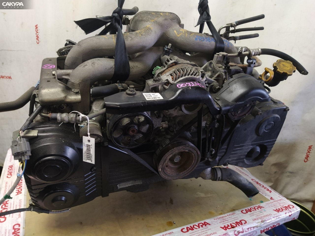 Двигатель Subaru Legacy BL5 EJ204: купить в Сакура Красноярск.