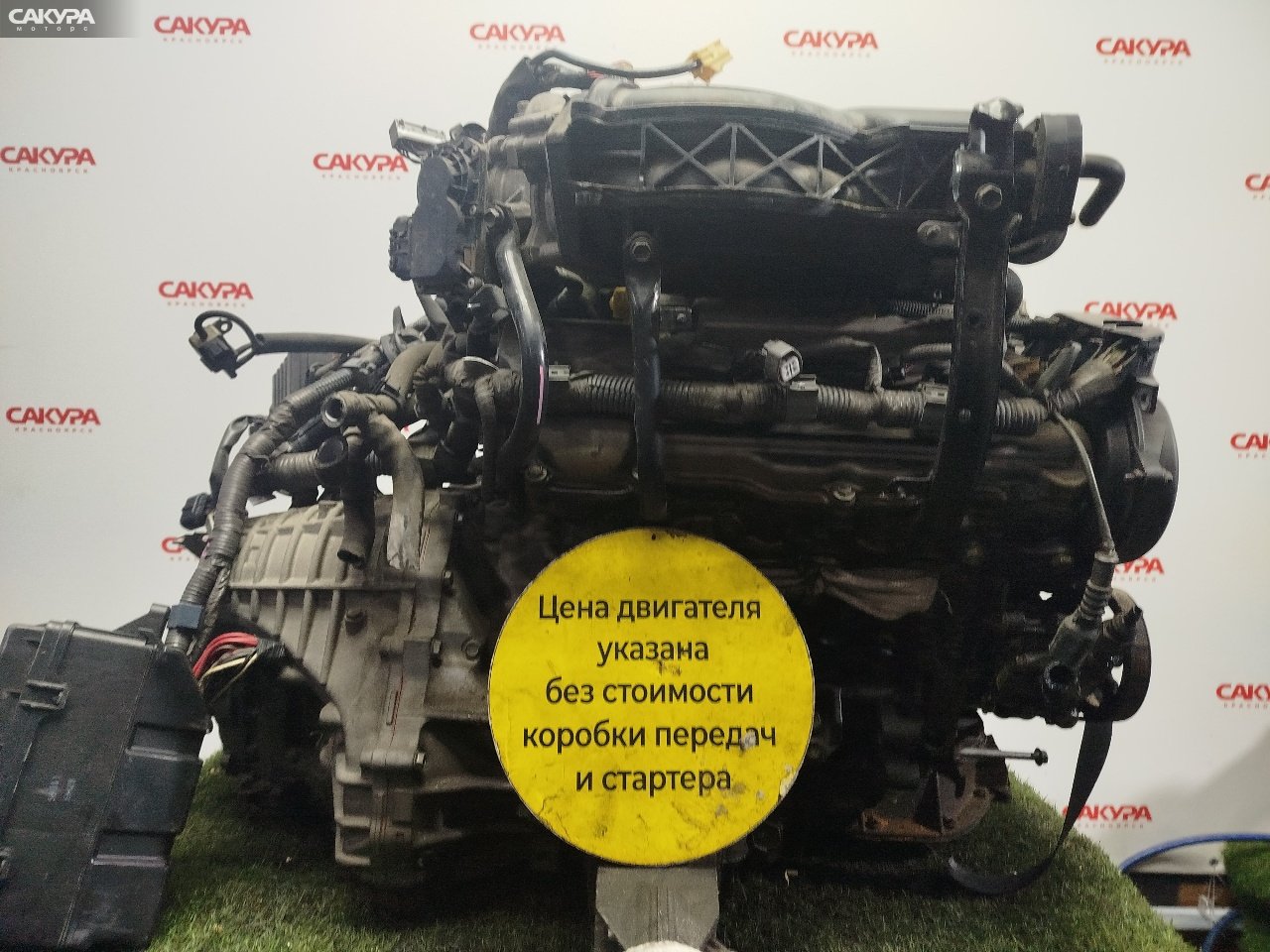 Двигатель Toyota Alphard MNH15 1MZ-FE: купить в Сакура Красноярск.