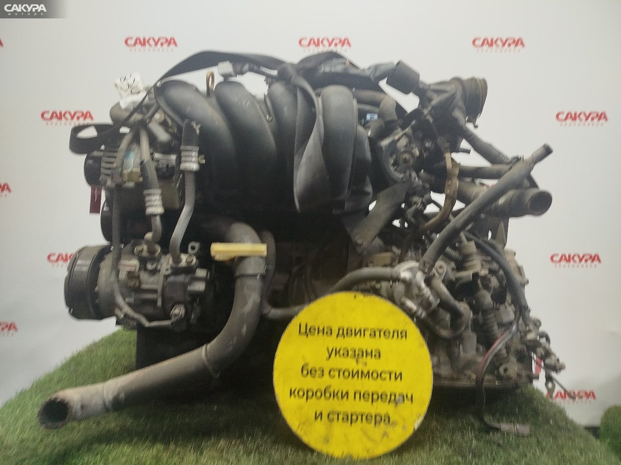 Двигатель Toyota Wish ZNE10 1ZZ-FE: купить в Сакура Красноярск.